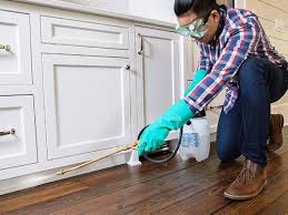 Real Estate Pest Inspections in Forest Acres, SC